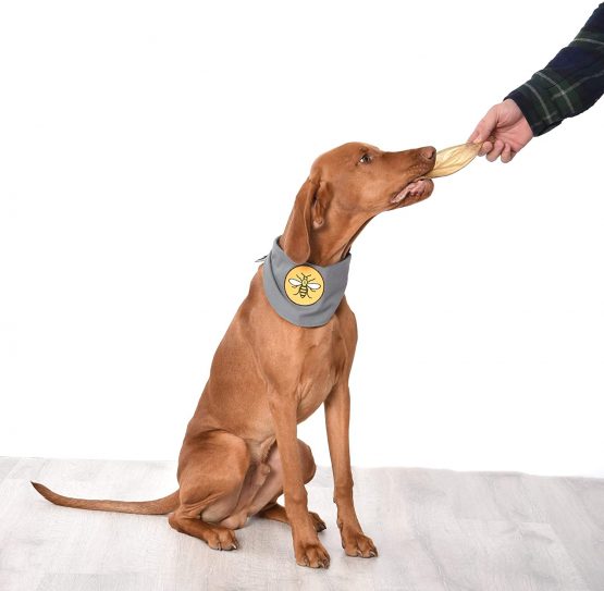 Dragonfly Products - Natural Grain Free Dried Cows Ears Dog Treats | High Protein and Low Fat | 100% British UK Produce for Good Dental Health | Gluten Free Whole Beef Ear Chew | 12 Piece - Image 3