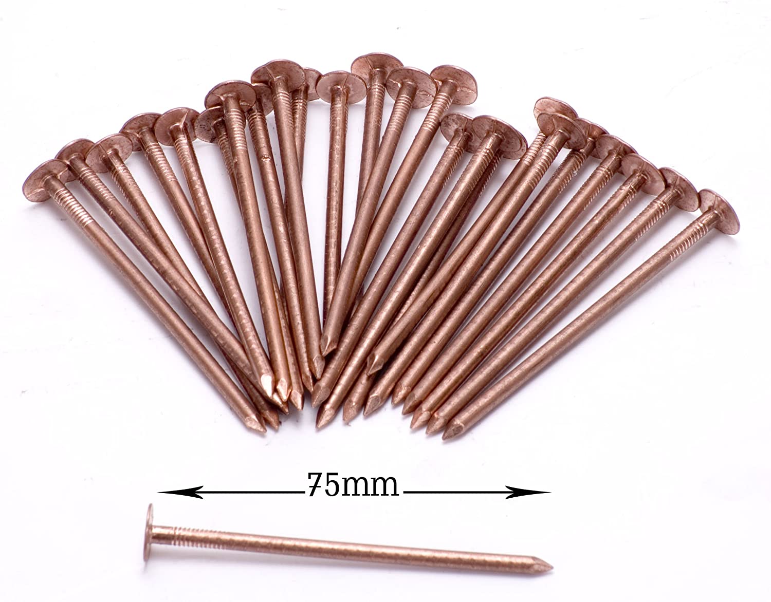 Copper Tree Stump Killer - 30xV.Large 75mm Copper Nails - Image 2