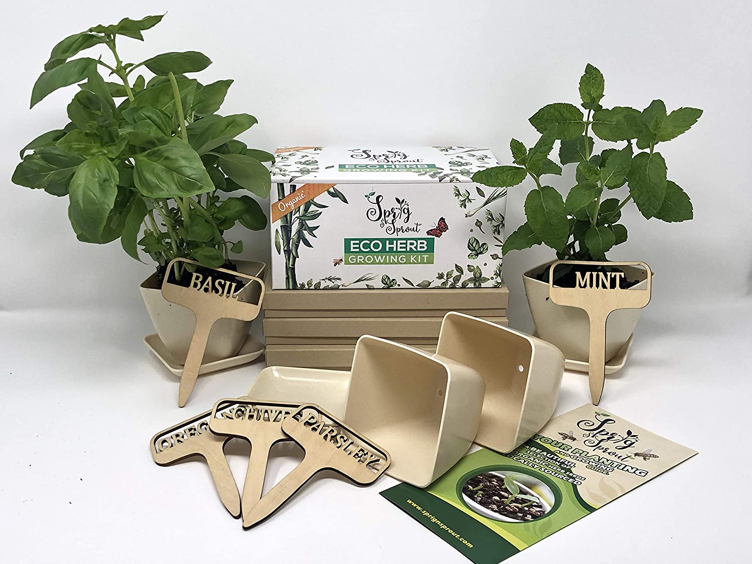 Sprig & Sprout Herb Growing Kit to Grow Your Own Herb Garden – 5 ...