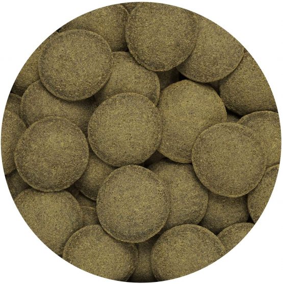 Hikari Algae Wafers [Sng] 82G - Image 3