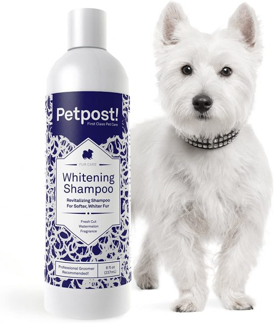 Petpost Dog Whitening Shampoo Best Lightening Treatment for Dogs