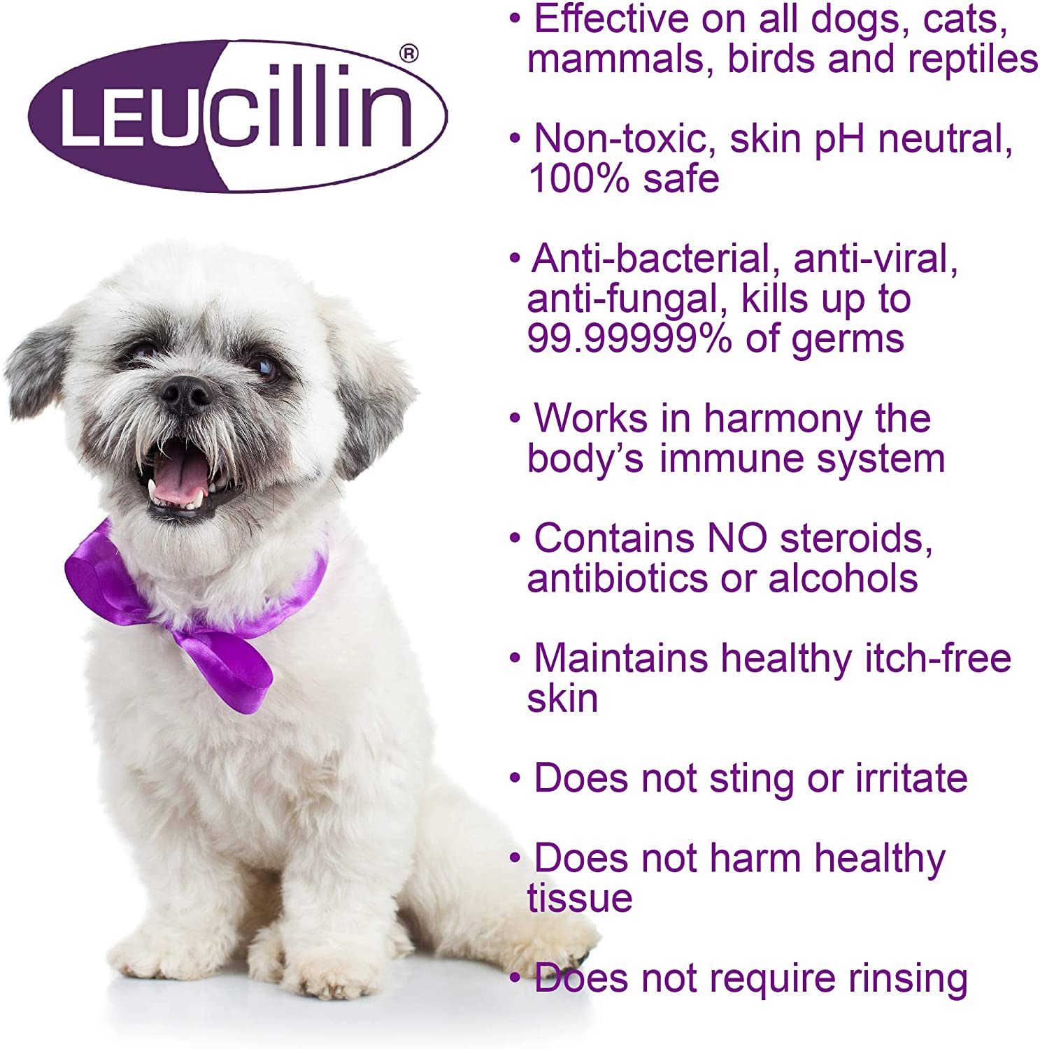 Leucillin Natural Antiseptic Spray - Image 2