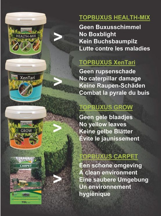 TOPBUXUS Grow Turbo Professional Box Tree Fertilizer (500 g) BigaMart