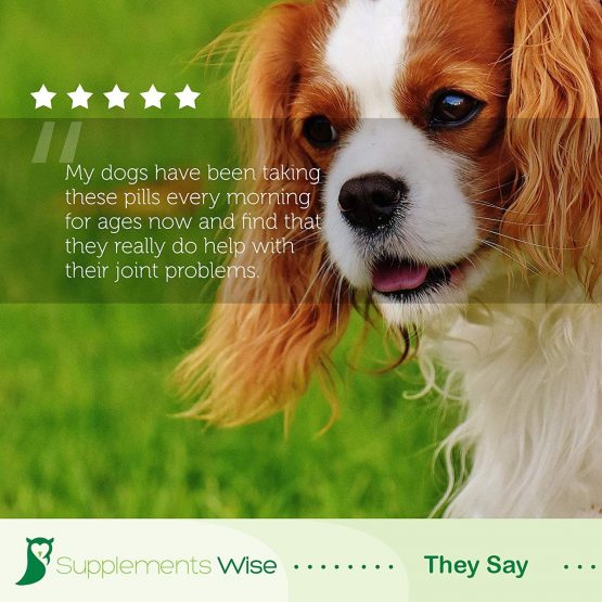 Supplements Wise Dog Joint Care Supplements - With Glucosamine and Chondroitin For Dogs - Powerful Pain Relief Anti Inflammatory Complex - Arthritis Mobility Support - 120 Chicken Flavour Tablets - Image 4