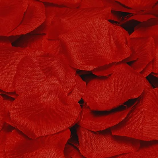 Deluxe Rose Petal Confetti - Burgandy