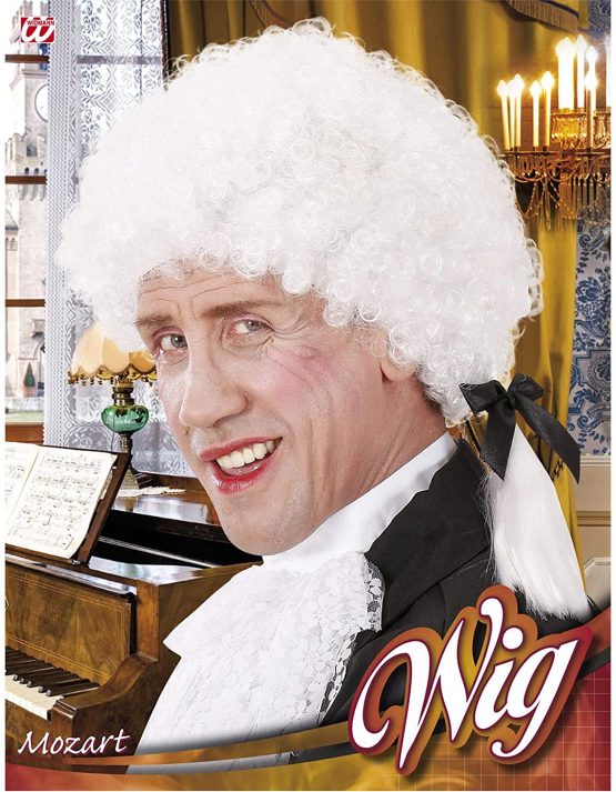 Mozart In Box Wig for Hair Accessory Fancy Dress - Image 2