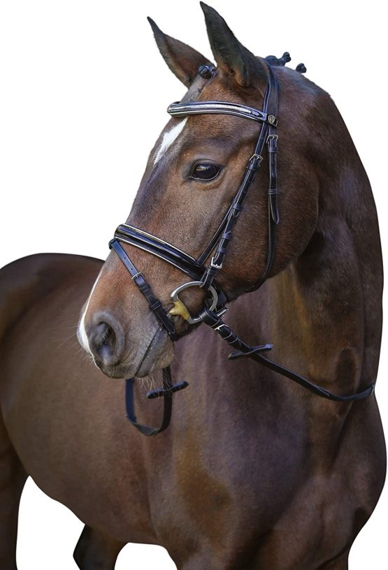 Covalliero Kingston Snaffle Bridle, Black, Pony - Image 2