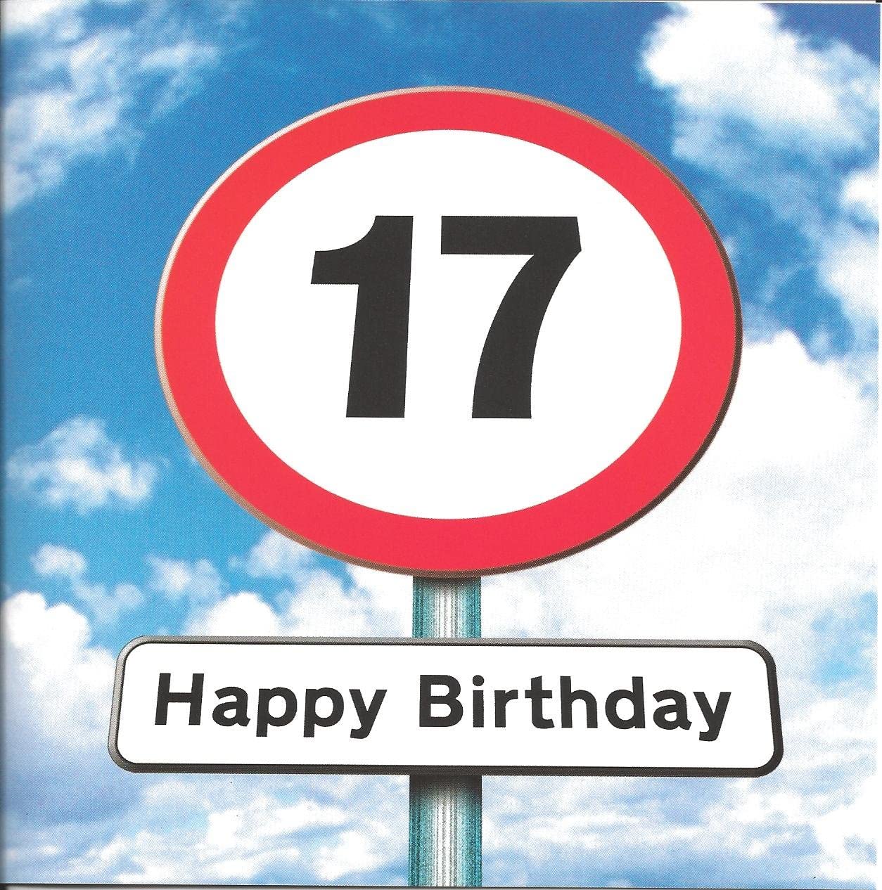 Twizler 17th Birthday Card for Teenager - Roadsign - Age 17 Year Old Card, Red, 163mm X163mm