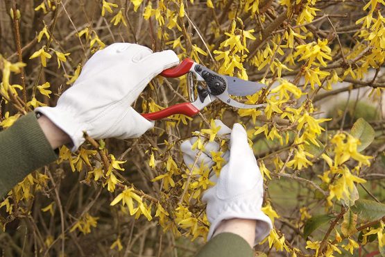 Spear & Jackson Razorsharp Left-Handed Bypass Secateurs - Image 2