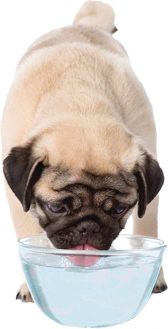 Nylabone Advanced Oral Care Dog Tartar Remover, 16 oz - Image 3