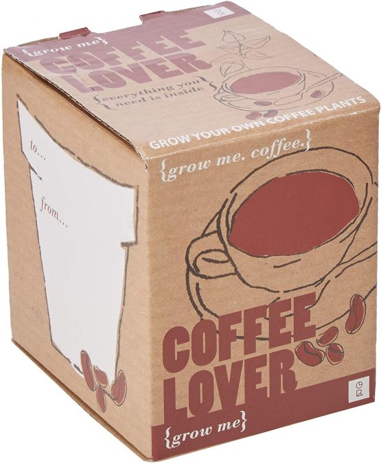 Gift Republic GR130003 Grow Me Coffee Lover, 12.0 cm*12.0 cm*12.0 cm - Image 2