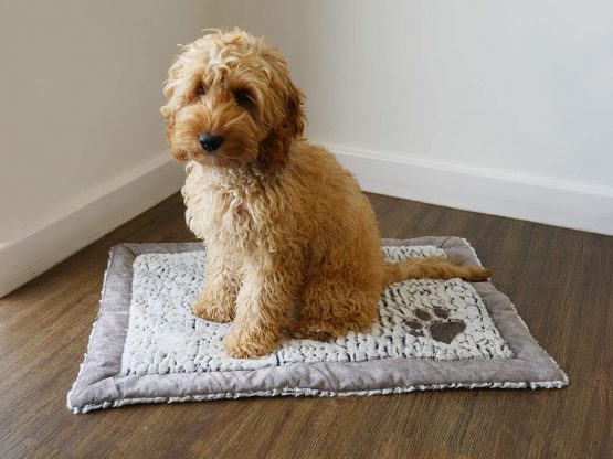 LUXURY FLEECE LINED PLUSH BLANKET 48X68CM - Image 3