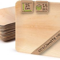 BIOZOYG Palmware leaf tableware I 25 pieces Palm Plate rectangular 25 x 25 cm I Bio Disposable Crockery Biodegradable Party tableware disposable tableware compostable
