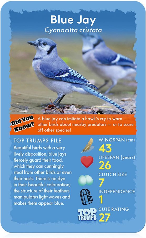 Birds Top Trumps Card Game - Image 2