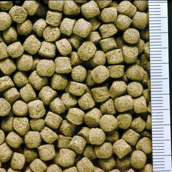 Hikari 12-Ounce Cichlid Excel Sinking Pellets for Pets, Mini - Image 2