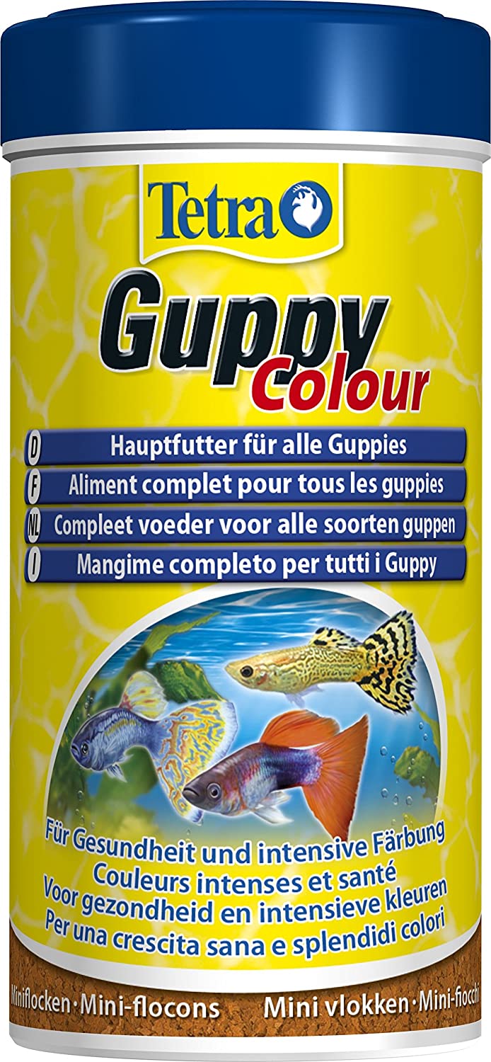 Tetra Guppy Color (main feed for guppies and other live-growing tooth carps, miniflocks with color enhancers, Mini Flakes) 250 ml can - Image 3