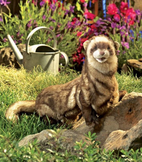 Folkmanis Ferret Hand Puppet - Image 3