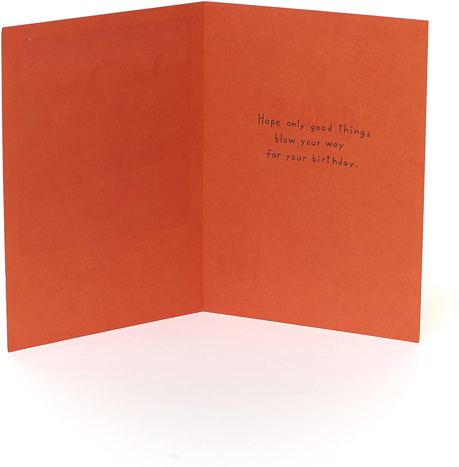 UK Greetings Birthday Card for Him - Funny Birthday Card for Men - Featuring Hilarious Wind Farm Joke, 345329-0-1 - Image 2