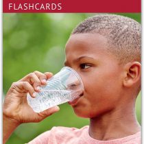 Picture My Picture Verbs Flash Cards | 40 Action Language Development Educational Photo Cards | Speech Therapy Materials and ESL Materials