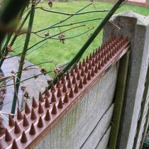 GEEZY 10 Piece Anti Climb Fence Wall Spikes Burglars Cats Birds Repellent Deterrent, 5 Meters