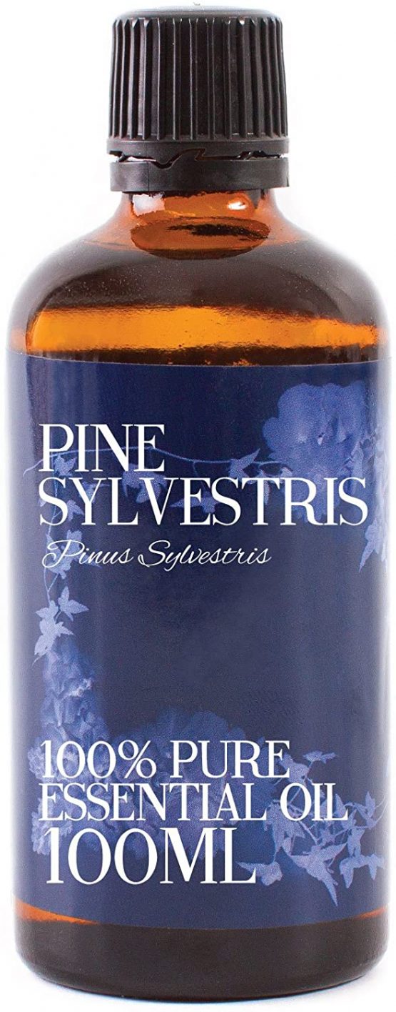 Mystic Moments | Pine Sylvestris Essential Oil - 100ml - 100% Pure