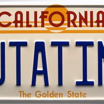 Celebrity Machines Back to the Future | OUTATIME | Metal Stamped License Plate