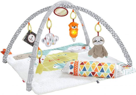 Fisher-Price GKD45 Deluxe Gym, Multicoloured