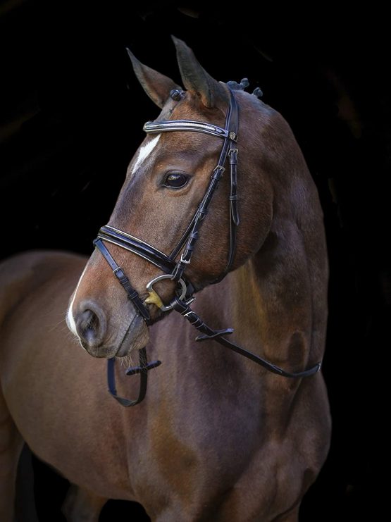 Covalliero Kingston Snaffle Bridle, Black, Pony - Image 3