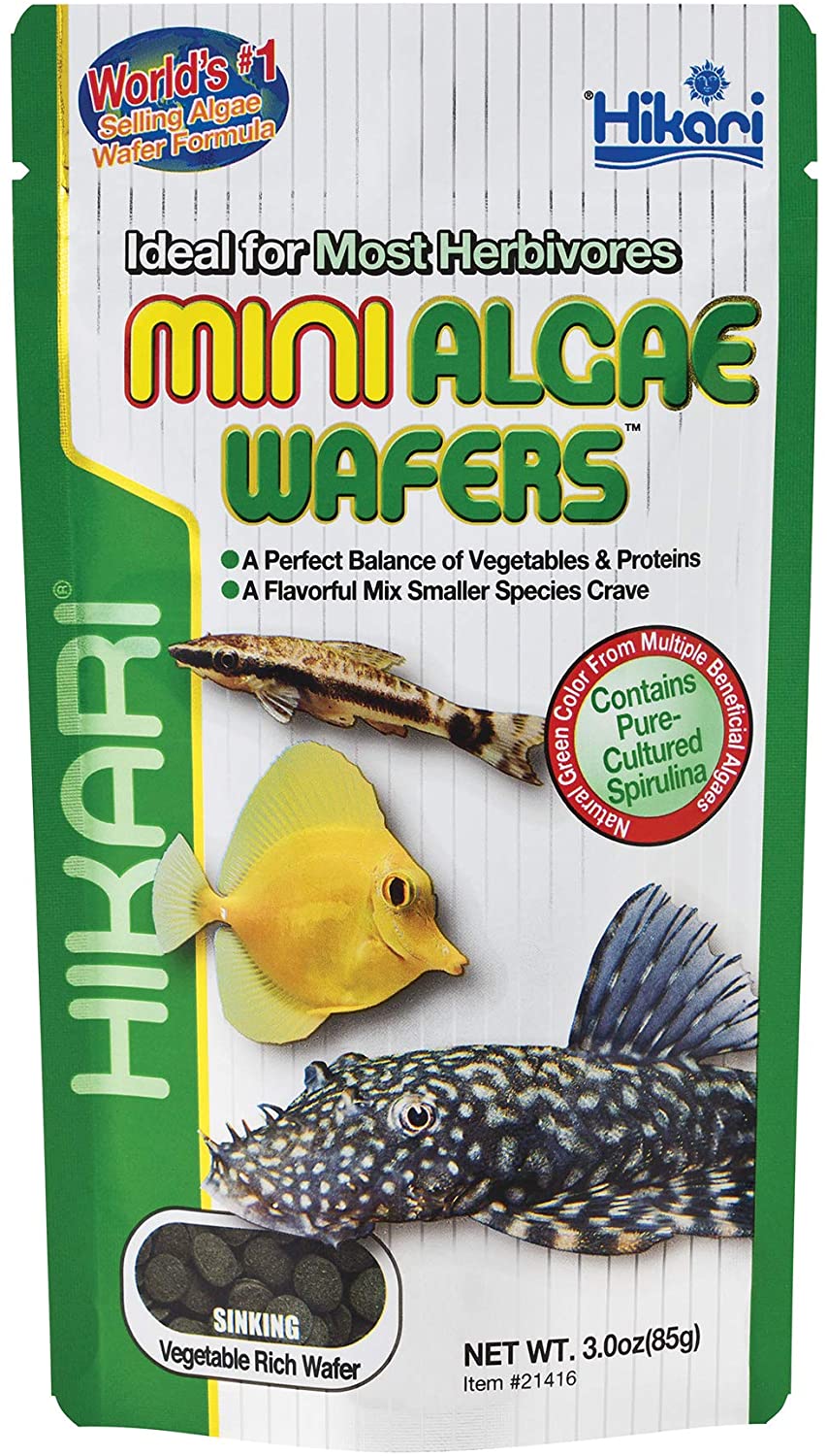 Hikari Tropical Mini Algae Wafers Fish Food, 3.0 oz (85g), No Color, 85 g (Pack of 1)
