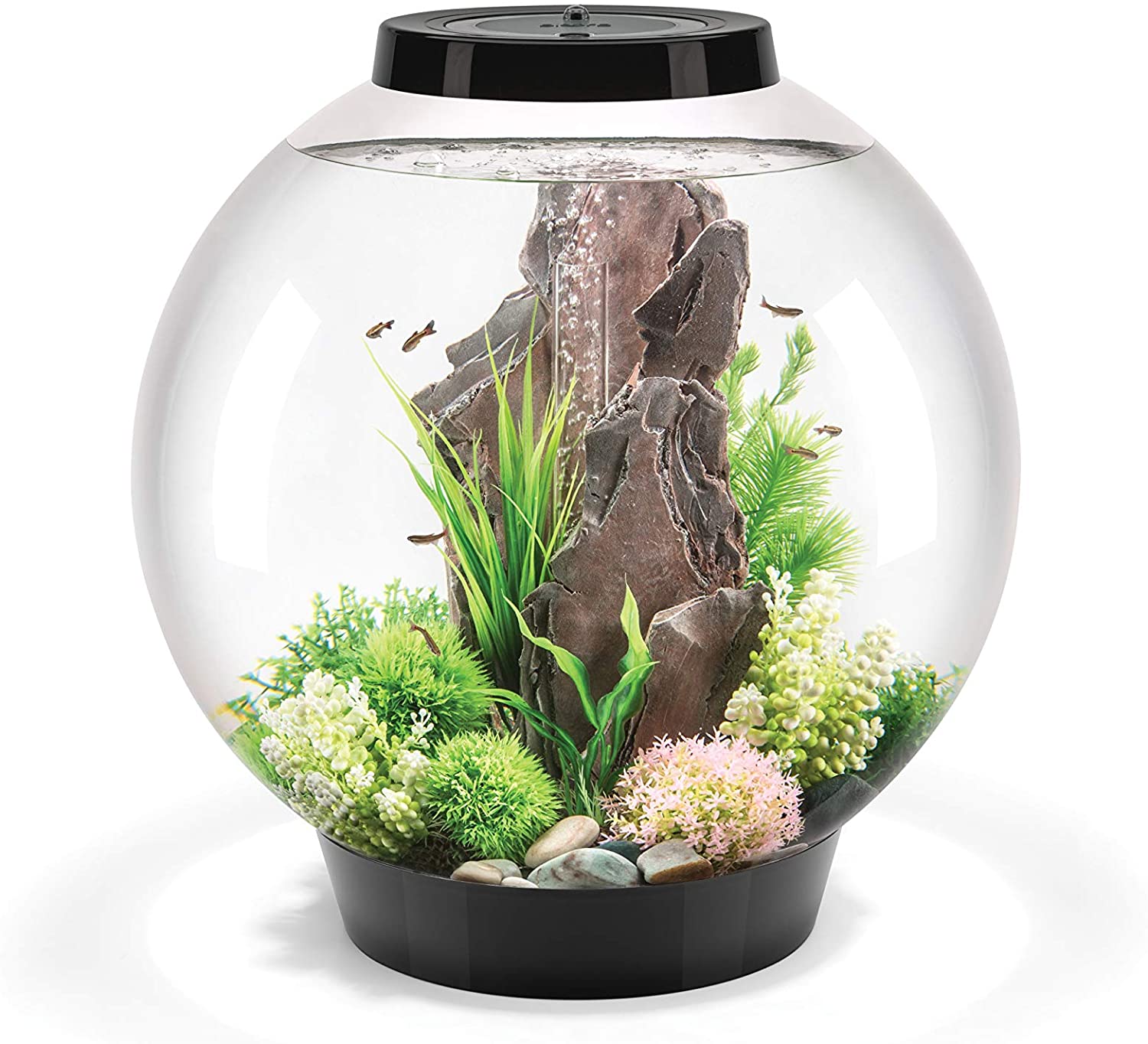 biOrb CLASSIC 60 Aquarium (Black, 60 Litres), Perfect Beginner Fish Tank With Integrated LED Lights, Quick & Easy To Set Up