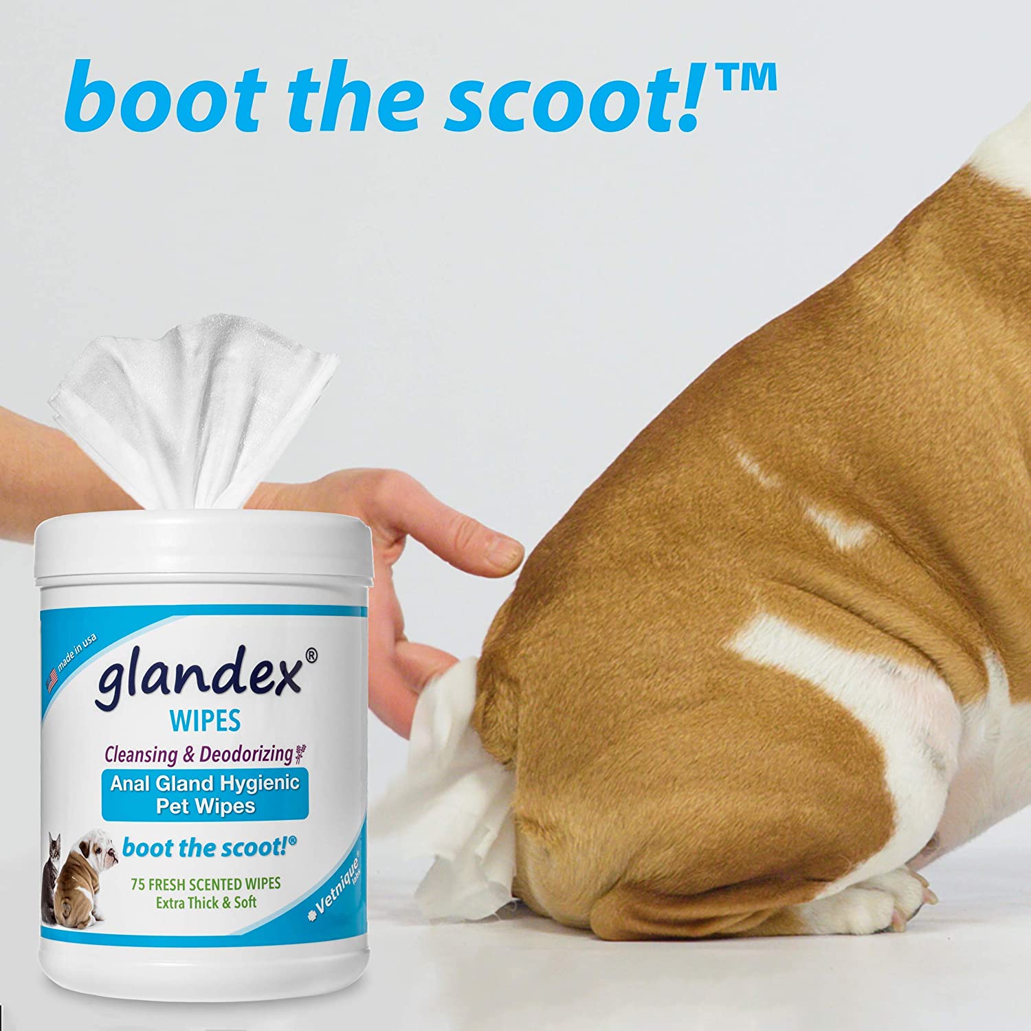 Vetnique Labs Glandex Dog Wipes Cleansing Deodorizing Hygienic Anal Gland Grooming Wipes (75ct Container) - Image 4