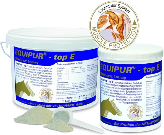 EQUIPUR®-top E. 1.000g
