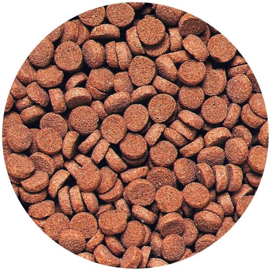 Hikari Sinking Carnivore Pellets for Pets, 2.61-Ounce - Image 3
