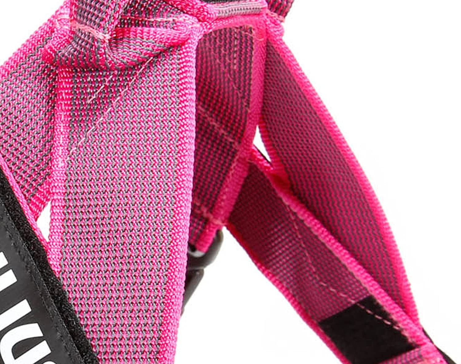Julius-K9, IDC Color & Gray Belt Harness, Size: L / 1, Pink-Gray, L/1 - Image 4