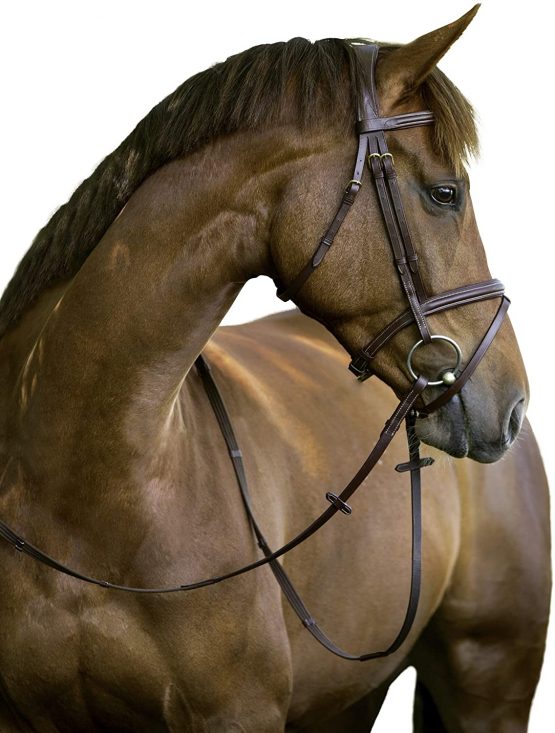 KERBL Classic bridle - Image 2