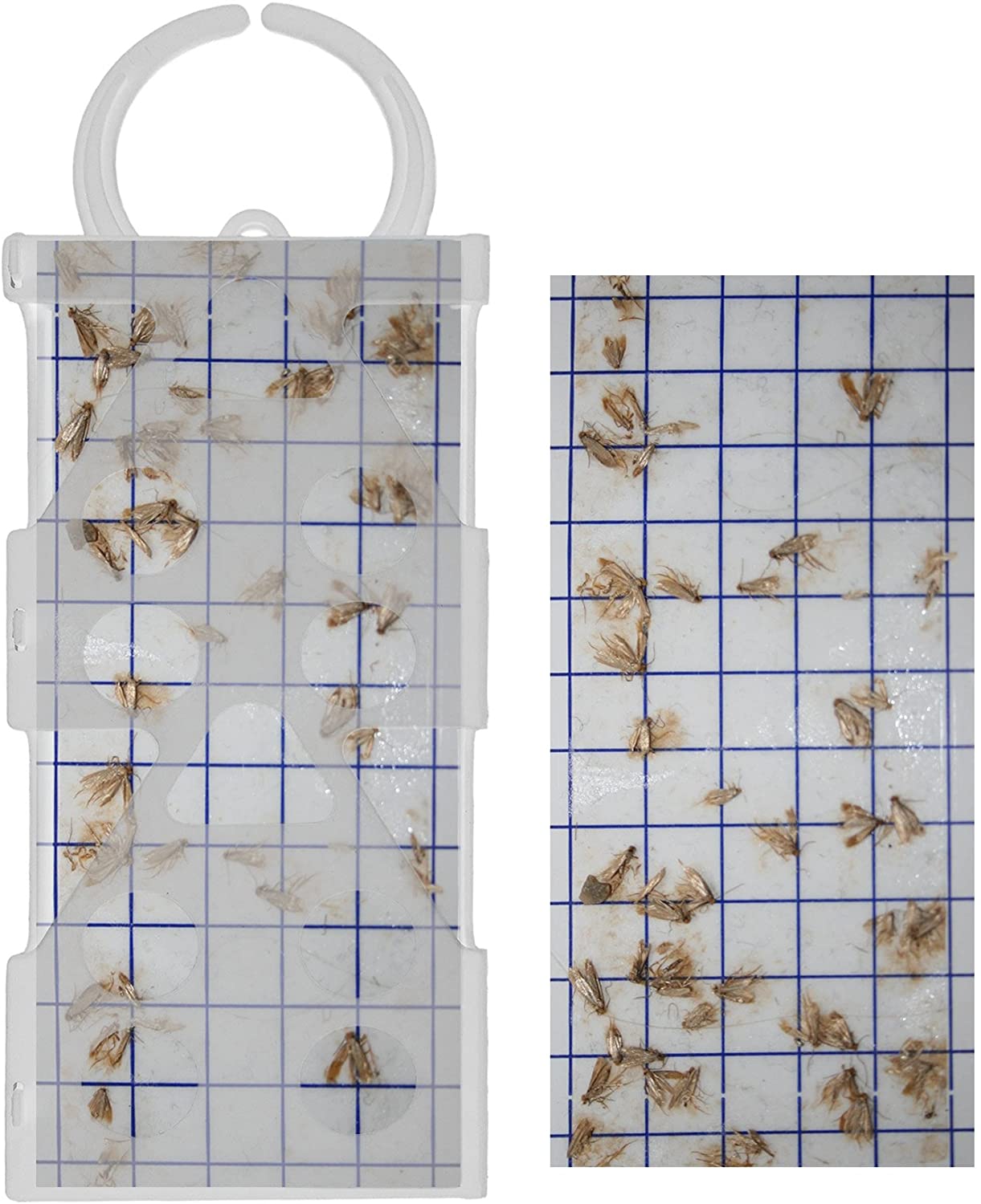 Entopest Moth Peds, Clear, 10 Refill Pads & 10 Reusable Hangers - Image 2
