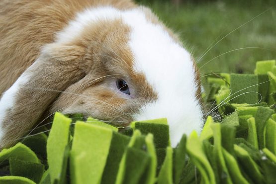 Rosewood SNUFFLE FORAGE MAT FOR SMALL ANIMALS - Image 4