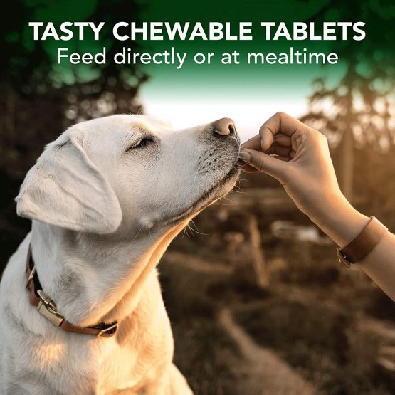 Vets Best Seasonal Allergy Support - Image 4