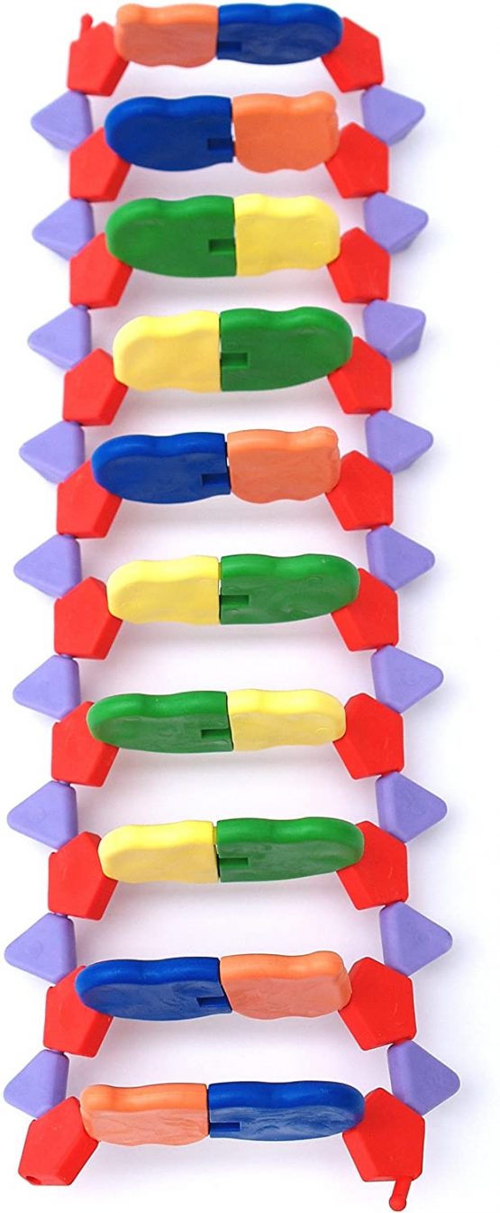 DNA Model - Advanced miniDNA 12 Layer (Base pair) Model Kit - Image 3