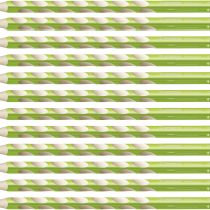 Colouring Pencil - STABILO EASYcolors Right Handed Box of 12 Light Green