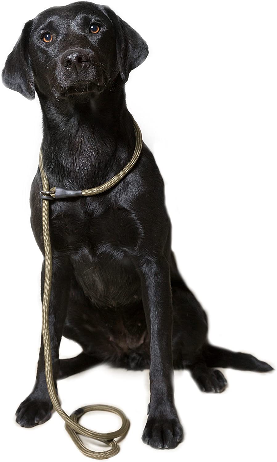 Dog & Field Deluxe Gundog Slip Lead, Green. Super Soft Braided Nylon Slip Lead for Dogs With Rubber Stopper Easy To Slip On
