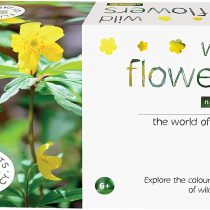 Flights of Fancy 85805 Wild Flowers Nature Kit, Brown, White