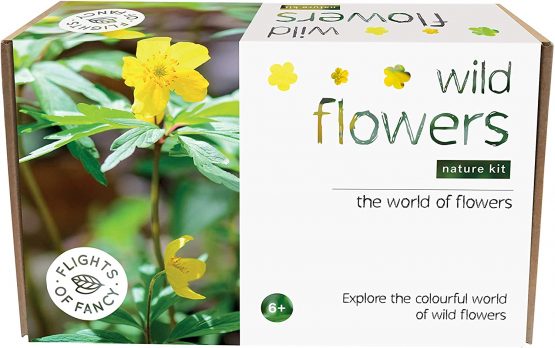 Flights of Fancy 85805 Wild Flowers Nature Kit, Brown, White