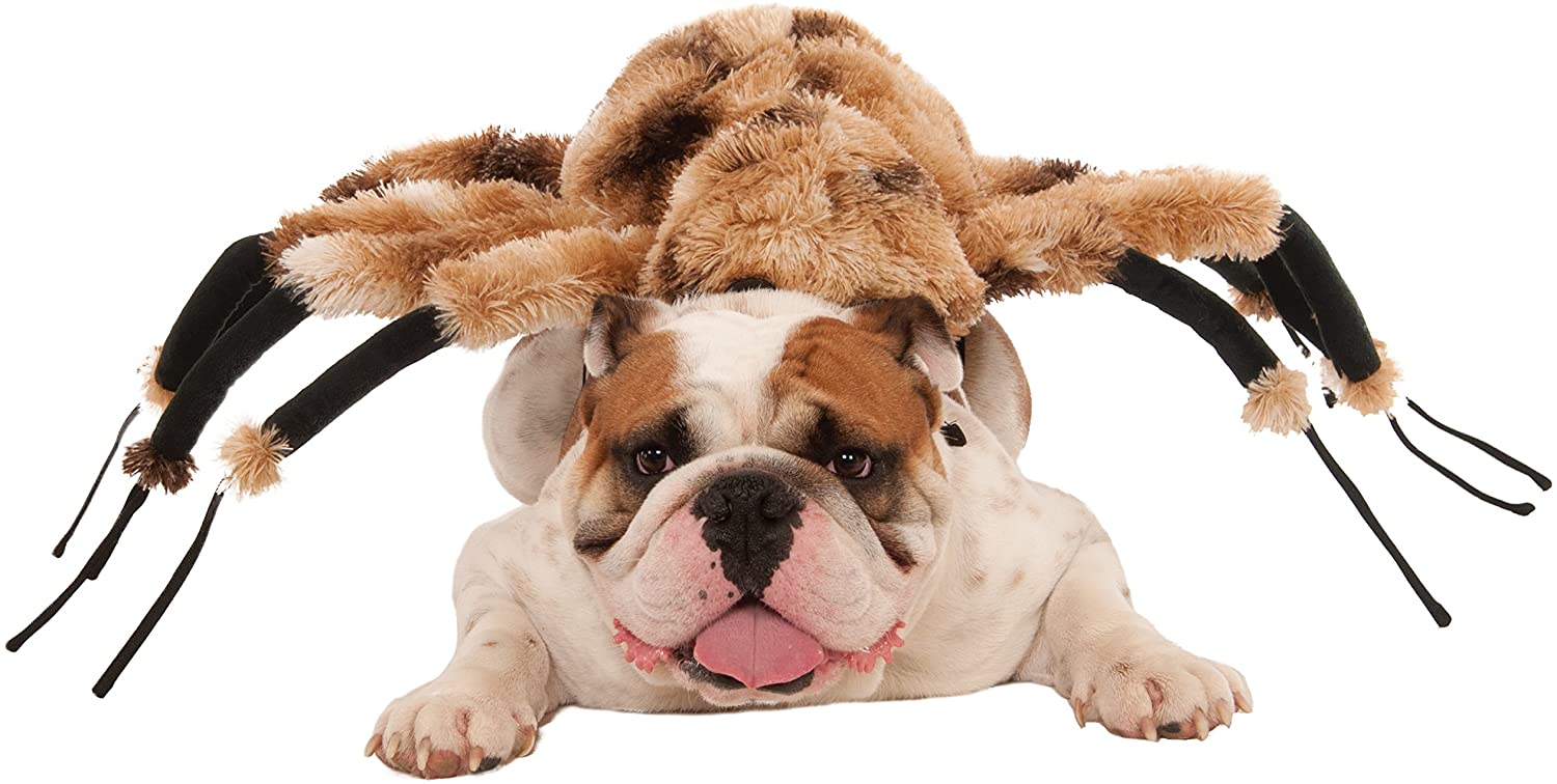 Rubies 580358M Official Giant Spider Pet Dog Halloween Costume, Brown, Medium (Neck to Tail 15 Inch, Chest 17 Inch) Halloween - Image 2