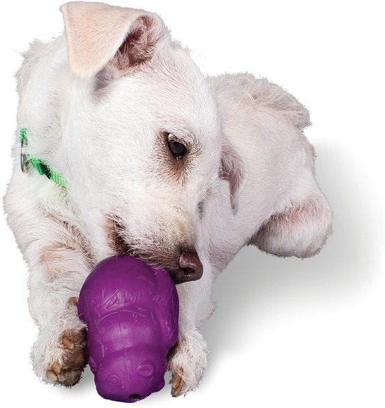 Busy Buddy Squirrel Dude, Interactive Treat Dispensing Dog Toy - Chew Toy, Large Dogs - Image 4