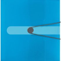 Herlitz Archive Box A4 Polypropylene with Spine Label Back Width 4 cm, 1 Piece, Design Print Opaque Apple Transparent Blue