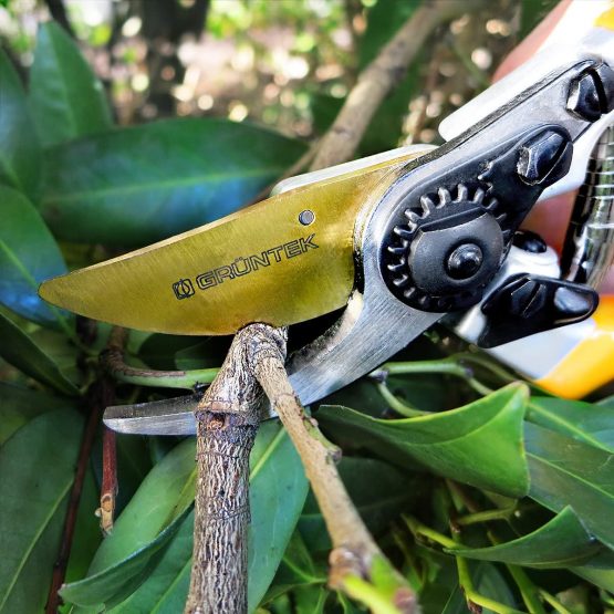 GRÜNTEK Secateurs/Pruning Shears Z-25 Forged 215mm, TITANIUM, ByPass, Garden Pruner, Scissors, Ergonomic Comfort - Image 3