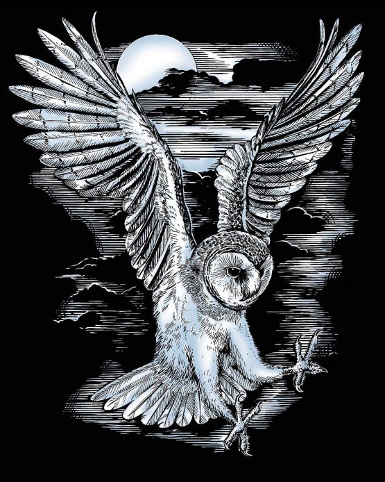 KSG - Artfoil Silver Barn Owl - Image 2