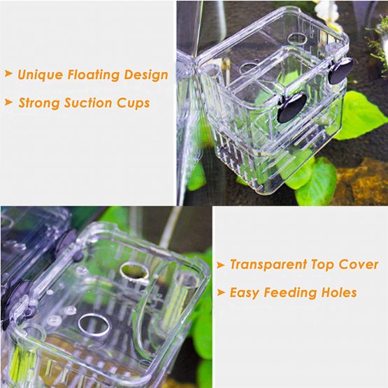 Tiberham Fish Breeding Box, Acrylic Floating Fish Hatchery Isolation Box, Double Layer Fry Hatching Incubator Breeding Rearing Trap, Aquarium Tank Fish Parenting Container Divider with Suction Cups - Image 3