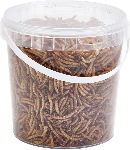 Pet Ting Premium Dried Mealworms, Tub, 200 g